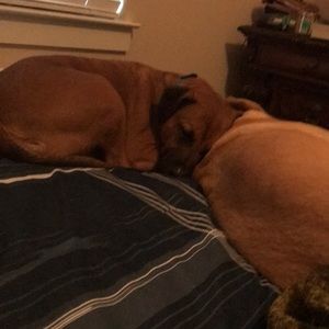 Meet your Posher, Sherri